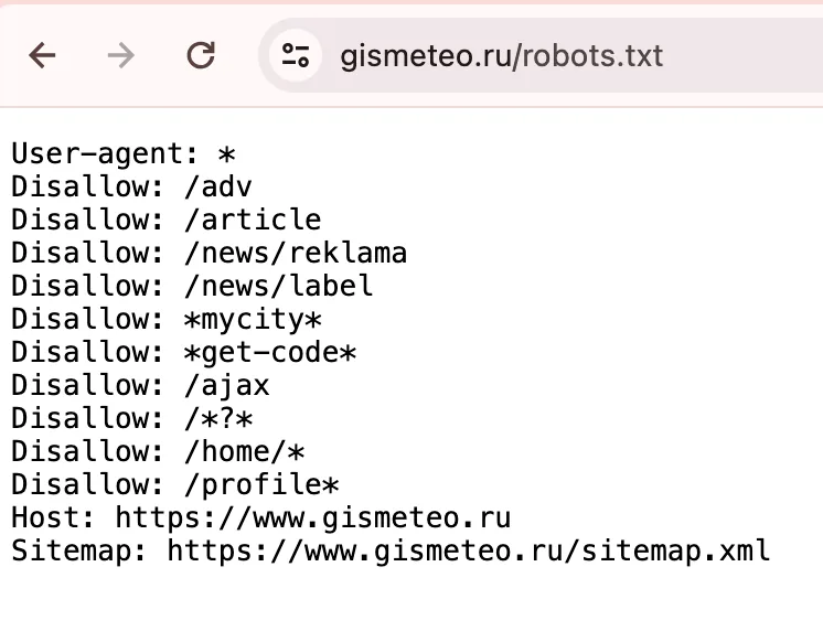 Как правильно настроить файл robots.txt : полное руководство