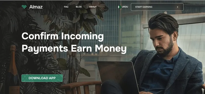 Как мы вывели новый сайт о заработке денег в Пакистане в топ-3
